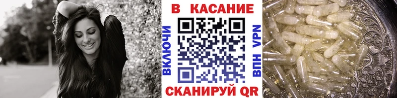 Купить наркотик аптеки Онега A-PVP  Меф  Псилоцибиновые грибы  Cocaine 