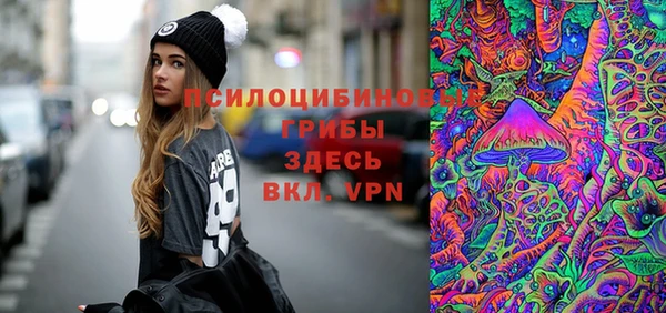 гидра Аркадак