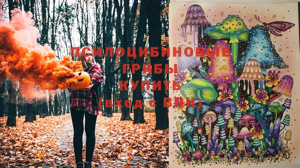 гидра Аркадак