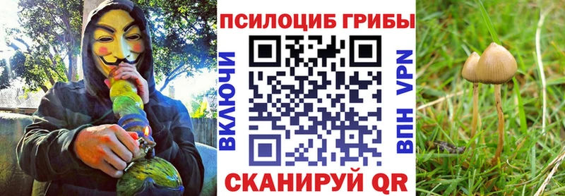 Галлюциногенные грибы прущие грибы  Онега 
